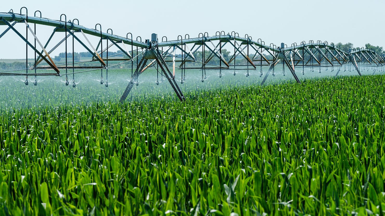 Cómo reducir la huella hídrica en la industria alimentaria con IoT